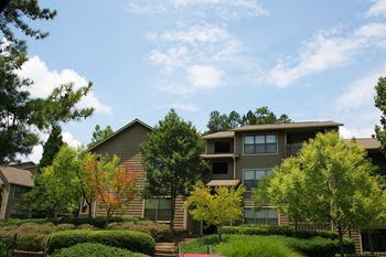 Beautiful Trees and Landscaping at Norcross Apartments Near Me